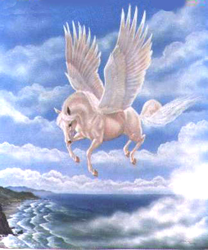 Pictures Of Pegasus